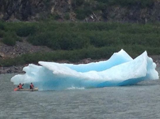 They were able to touch a floating icecap.  Beautiful!