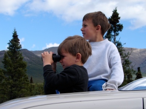 The boys glassing for wildlife in Denali National Park.