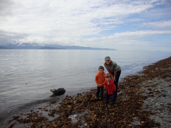 One of my favorite things to do in Homer is go beach combing.  Just outside our hotel room while we were on the beach there was a sick sea otter that later passed away that night.  Poor thing.  